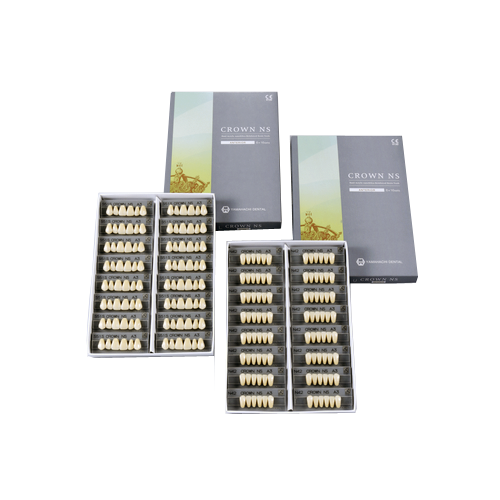N61S/W05 Crown NS Upper Anterior Teeth (1x6)
