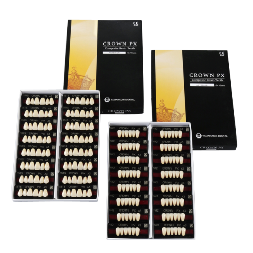 S43S/D3 Crown PX Upper Anterior Teeth (1x6)