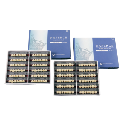 28U/C1 Naperce Upper Posterior Teeth (1x8)