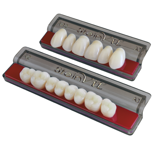 Steinvit Anterior Teeth (1x6)