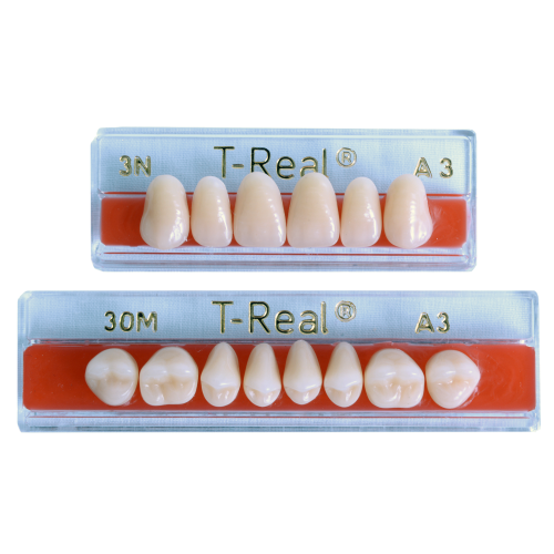 24DU/A1 T-Real Lower Anterior Teeth - end of line