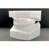 Sonic XL 4K 2022: High-Precision Dental 3D Printer - Rapid Full-Arch Models Variant