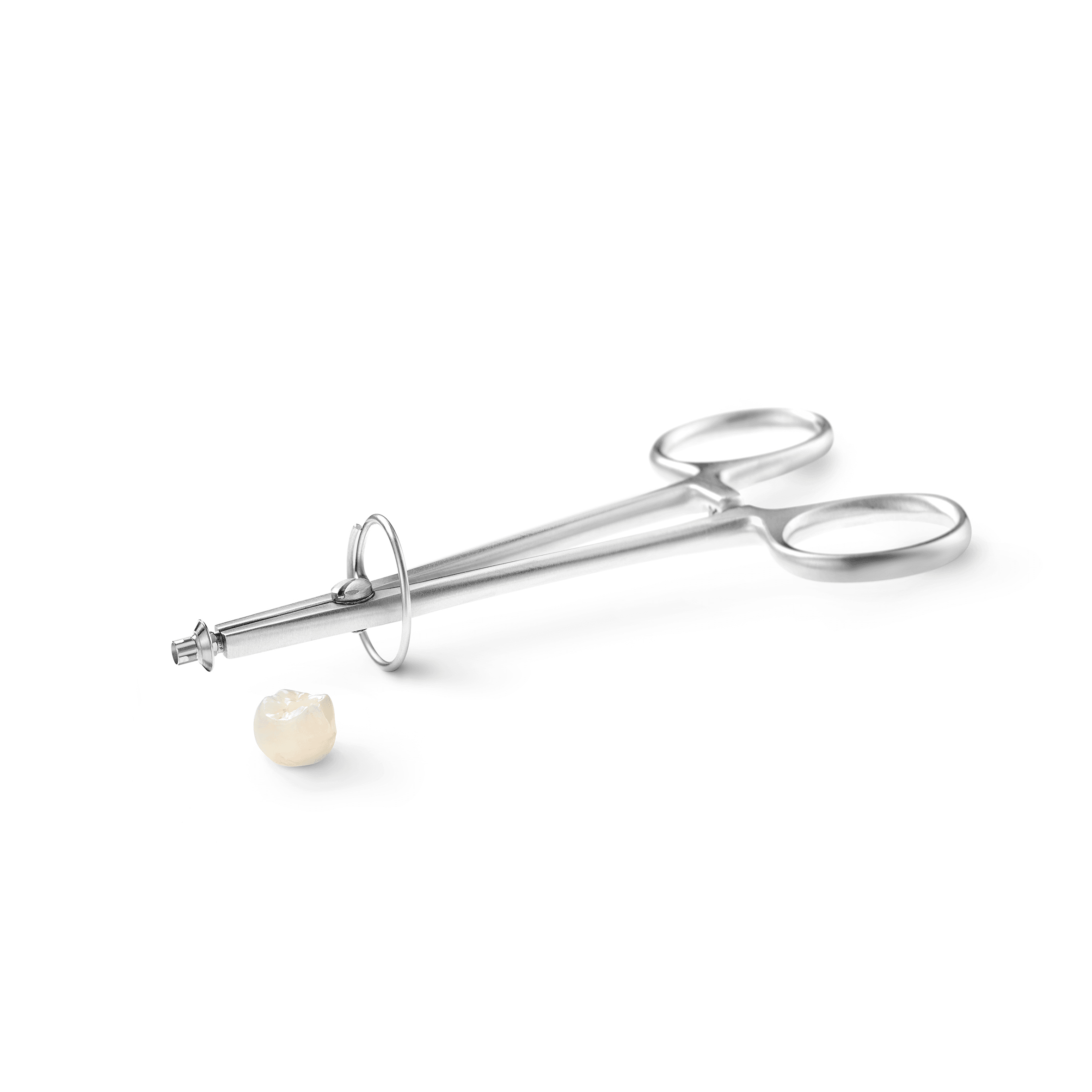 Abbey Dental Supplies Implant Base Holder